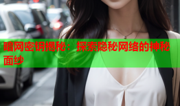 暗网密钥揭秘：探索隐秘网络的神秘面纱