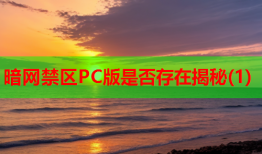 暗网禁区PC版是否存在揭秘(1)