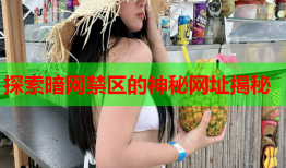 探索暗网禁区的神秘网址揭秘