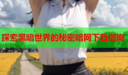 探索黑暗世界的秘密暗网下载指南