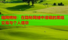 暗网揭秘：在隐秘网络中潜藏的黑暗交易与个人信息