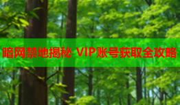 暗网禁地揭秘 VIP账号获取全攻略