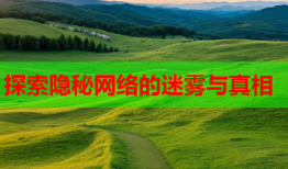 探索隐秘网络的迷雾与真相