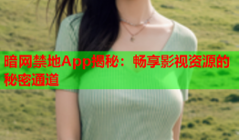 暗网禁地App揭秘：畅享影视资源的秘密通道