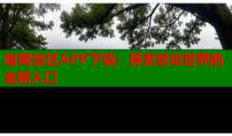 暗网禁区APP下载：探索禁忌世界的全新入口