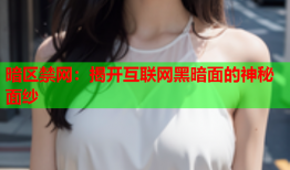 暗区禁网：揭开互联网黑暗面的神秘面纱