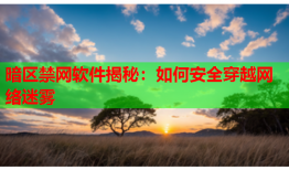 暗区禁网软件揭秘：如何安全穿越网络迷雾