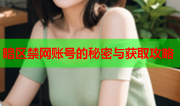 暗区禁网账号的秘密与获取攻略