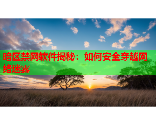 暗区禁网软件揭秘：如何安全穿越网络迷雾