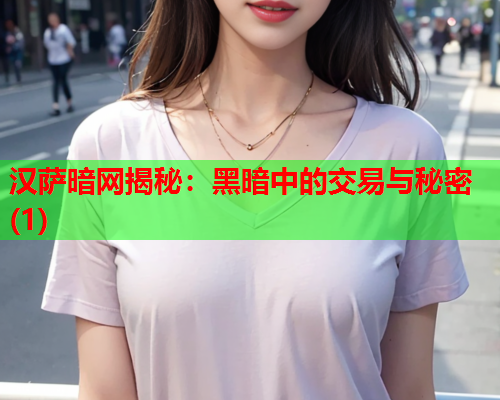 汉萨暗网揭秘：黑暗中的交易与秘密(1)