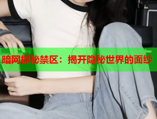 暗网探秘禁区：揭开隐秘世界的面纱