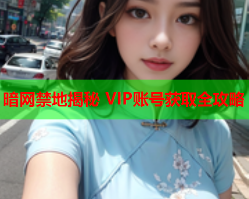 暗网禁地揭秘 VIP账号获取全攻略