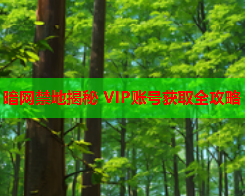 暗网禁地揭秘 VIP账号获取全攻略