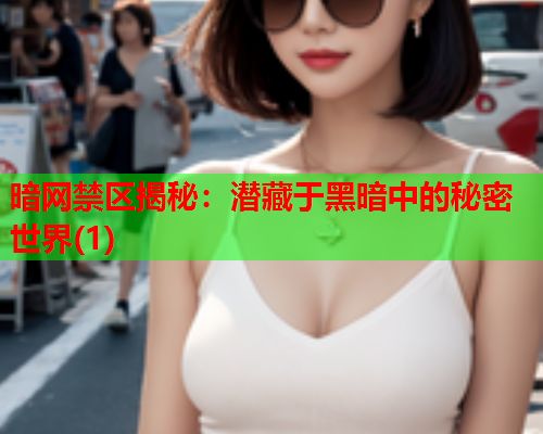 暗网禁区揭秘：潜藏于黑暗中的秘密世界(1)