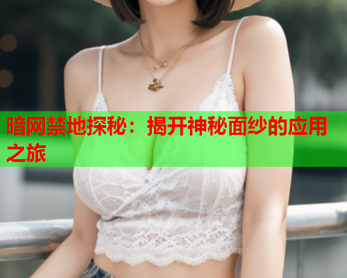 暗网禁地探秘：揭开神秘面纱的应用之旅